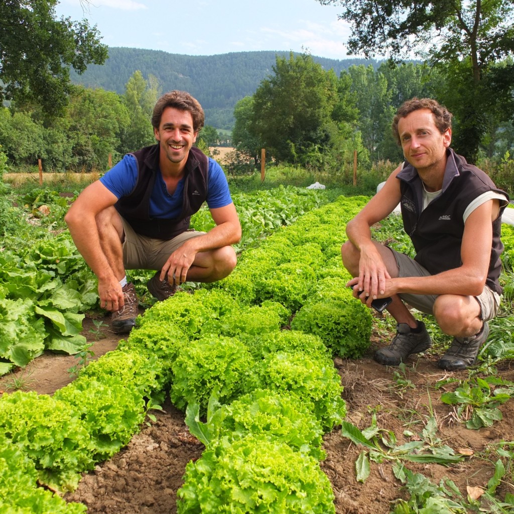 9 et 16 novembre formation départementale à l'écobuage au CFPPA de  Florac